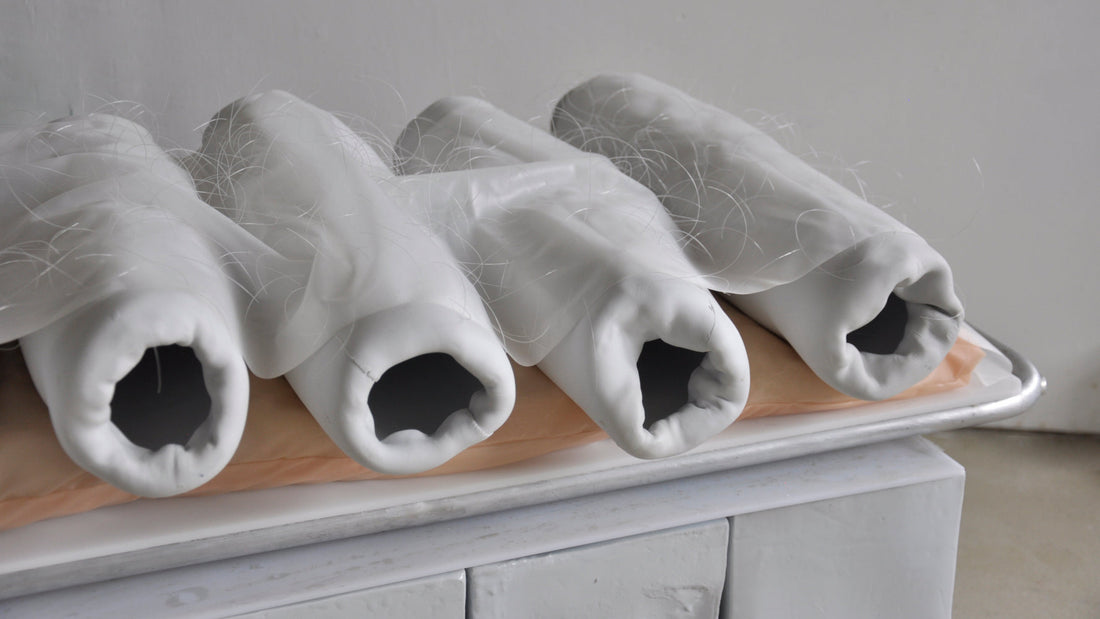 Körper - biomorphic solutions