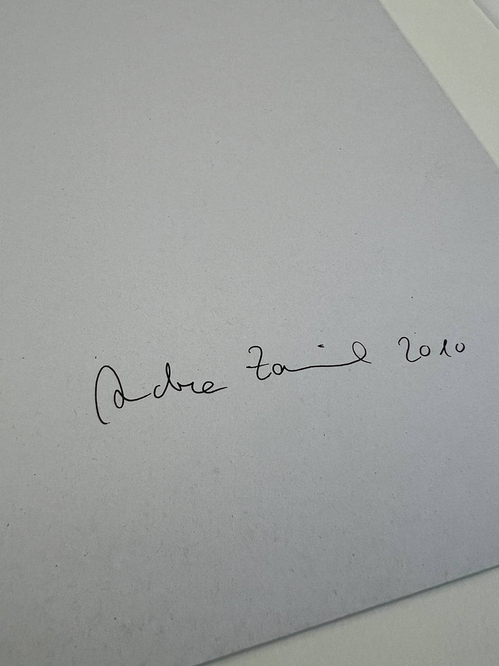 Handsignierter Digitaldruck einer Zeichnung von Andrea Zaumseil aus dem Jahr 2010